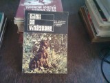 CAINII DE VANATOARE - N.A. STRAVOIU