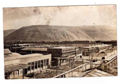 SIGHETU MARMATIEI COMBINATUL DE INDUSTRIALIZARE A LEMNULUI RPR foto