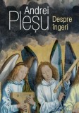 Cumpara ieftin Despre ingeri/Andrei Plesu