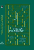 Cumpara ieftin Trei ani in labirint/Jay Hosking, Rao