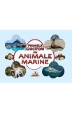 Primele ghicitori cu animale marine