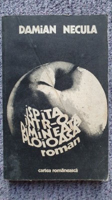 Ispita intr-o dimineata ploioasa, Damian Necula, Ed Cartea Romaneasca 1979, 330p foto