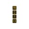icon 5