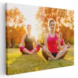 Tablou femei facand yoga in aer liber Tablou canvas pe panza CU RAMA 30x40 cm