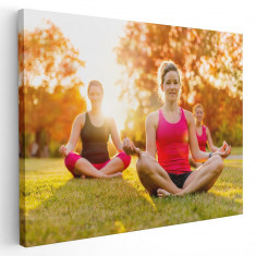 Tablou femei facand yoga in aer liber Tablou canvas pe panza CU RAMA 50x70 cm foto