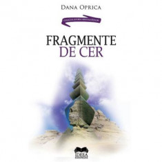 Fragmente de cer - Dana Oprica