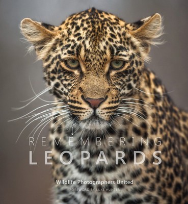 Remembering Leopards foto