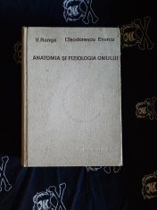 V. Ranga, I. Teodorescu Exarcu - Anatomia si Fiziologia omului foto