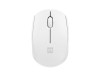 NATEC STORK mouse