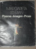 POEME.IMAGINI.PROZE-MARGARETA STERIAN