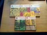 CREANGA DE AUR - 5(cinci) volume - James George Frazer - Minerva, BPT, 1980, Alta editura