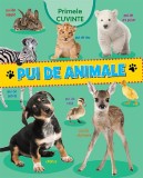 Primele cuvinte. Pui de animale - Autor Anonim - Editura Flamingo GD