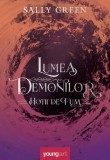 Lumea demonilor Seria Hotii de fum Vol.2 - Grupul Art