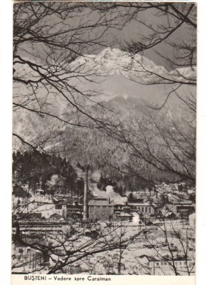 CPIB 16406 CARTE POSTALA - BUSTENI. VEDERE SPRE CARAIMAN, RPR foto