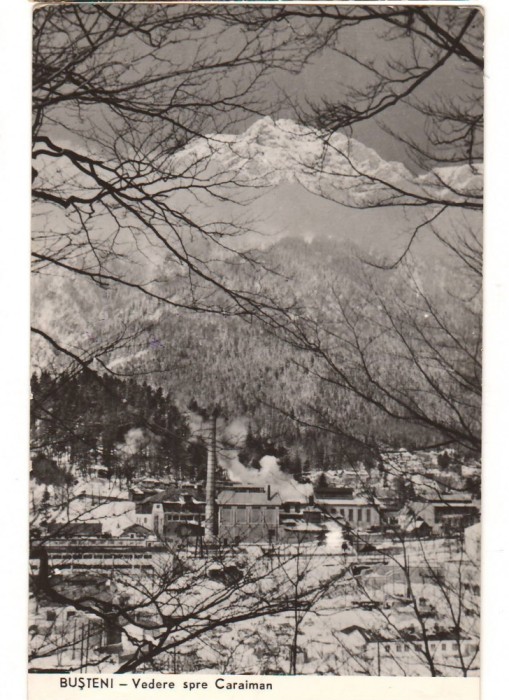 CPIB 16406 CARTE POSTALA - BUSTENI. VEDERE SPRE CARAIMAN, RPR