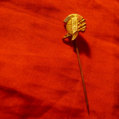 Insigna Federatia Romana de Scrima , h=1cm , metal si email