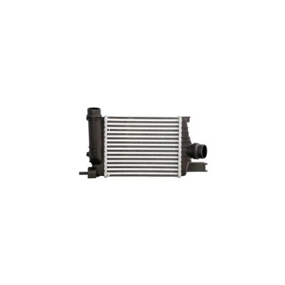 Intercooler RENAULT CLIO IV AVA Quality Cooling RT4602 foto