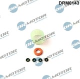 Set Garnituri Etansare,Injectoare 313811 DRM0143