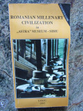 Romanian millenary civilization in &quot;Astra&quot; Museum Sibiu, Art