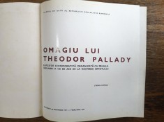 Omagiu lui Theodor Pallady - Album arta / R7P2S