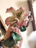 Bibelou decor crini nu se trimite ramburs