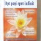&quot;OPT PASI SPRE INFINIT&quot;, Eknath Easwaran, 2008. Carte noua