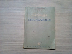 CALAUZA STRUGARULUI - Editura Tehnica, 1952, 127 p. foto