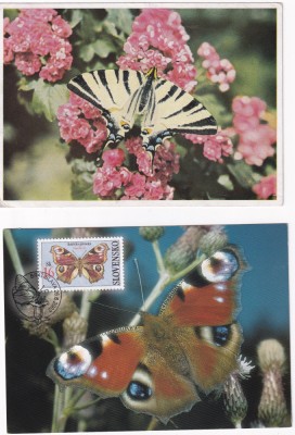FILATELIE TEMATICA - PLIC SLOVACIA TEMATICA INSECTE FLUTURI foto