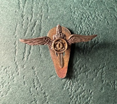 Miniatura de buton la rever Pilot Militar Carol 2 pe timp de razboi foto