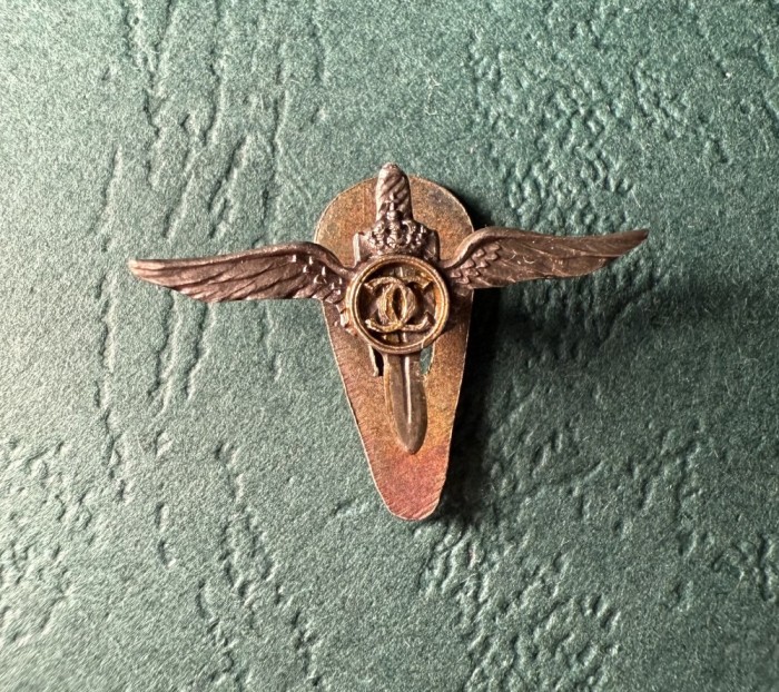 Miniatura de buton la rever Pilot Militar Carol 2 pe timp de razboi