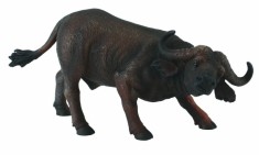 Bivol african - Collecta foto