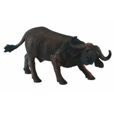 Bivol african - Collecta