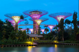 Cumpara ieftin Fototapet autocolant Parc Singapore 4, 250 x 150 cm
