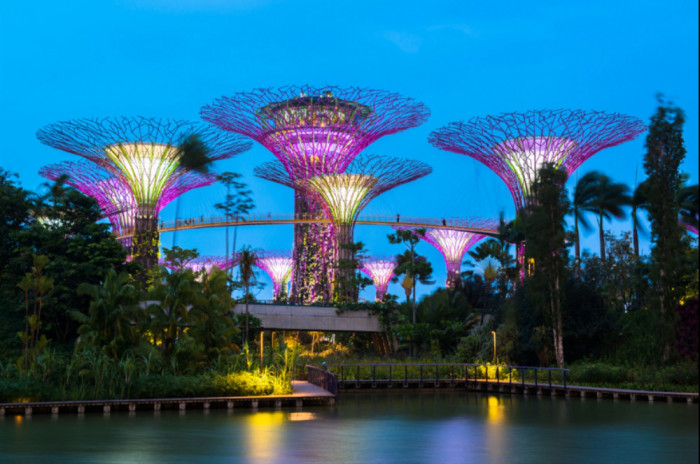 Fototapet autocolant Parc Singapore 4, 250 x 150 cm