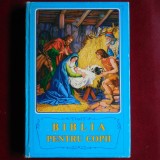 Cumpara ieftin Biblia pentru copii &ndash; Borislav Arapović (publicată de Institutul pentru Traducerea Bibliei