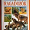 Ragadozok - Kepes ismerkedes a vadaszo allatokkal / Tudorka konyvek