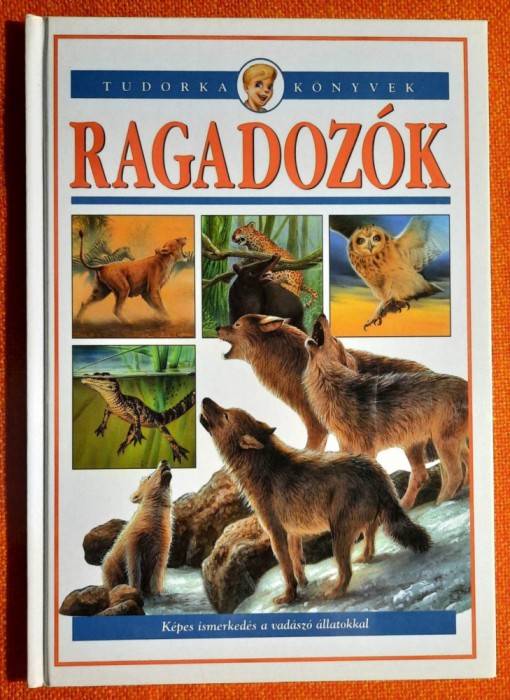 Ragadozok - Kepes ismerkedes a vadaszo allatokkal / Tudorka konyvek