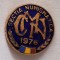 Cercul numismatic CCA - Casa Centrala a armatei din Bucuresti, anul 1976, insigna email la cald varianta de 2 cm dimensiune
