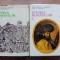 Constantin C. Giurescu, Dinu C. Giurescu - Istoria Romanilor - 2 volume
