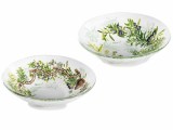 Set 6 boluri sticla Olive &Oslash; 12 cm x 3 H