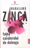 Taina Cavalerului de Dolenga - Haralamb Zinca, Roman, Editura Publisol, 2021, 387 pagini