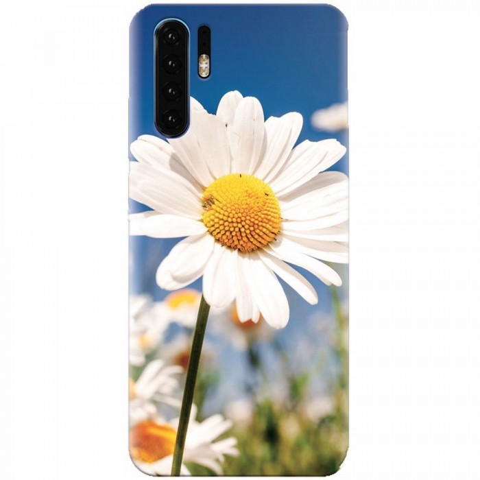 Husa silicon pentru Huawei P30, Daisies Field Flowers