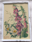 Carte Postala - Villeroy and Boch - VilboCard - cutie originală, Seturi
