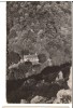 CPIB 18067 CARTE POSTALA - MUNTII PADUREA CRAIULUI. CABANA VALEA CRISULUI, RPR, Necirculata, Fotografie