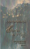 Costin Neata - Cartea de vraji (Seria Secretele ascunse ale Temprigonulu -