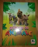 Myh 110 - Album educativ cu cartonase pentru copii - Gradinita de animale