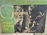 Carte Gimnastica in aer liber sub forma de joc, Coperta Cartonata, 1963, Sport