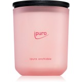 ipuro Classic Orchid&eacute;e lum&acirc;nare parfumată 270 g