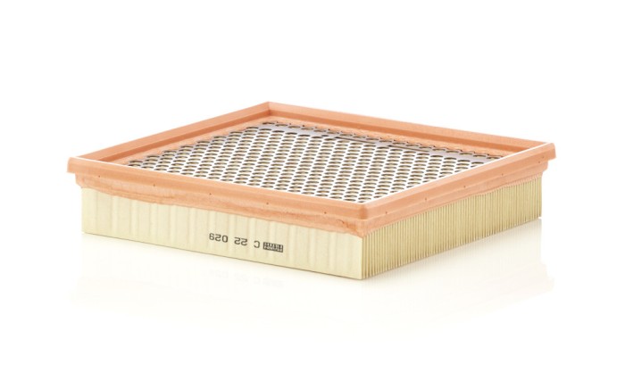 MANN-FILTER C 22 029 Filtru aer