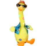 Rata vorbitoare Dollcini, 400563, 35x20xcm, Maro